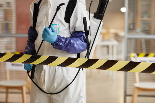 Professional Sewage Cleanup technician working in Meridian, PA